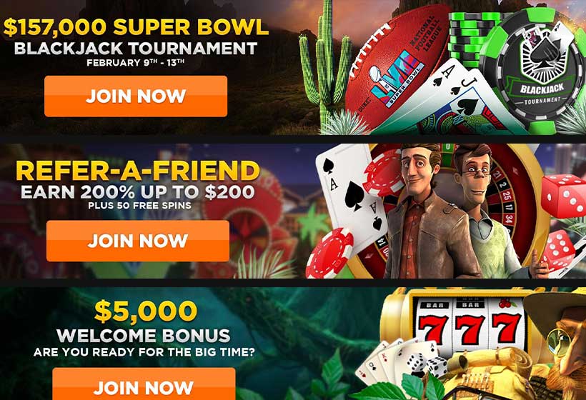 Wild Casino Bonuses